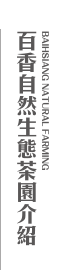 百香自然生態茶園