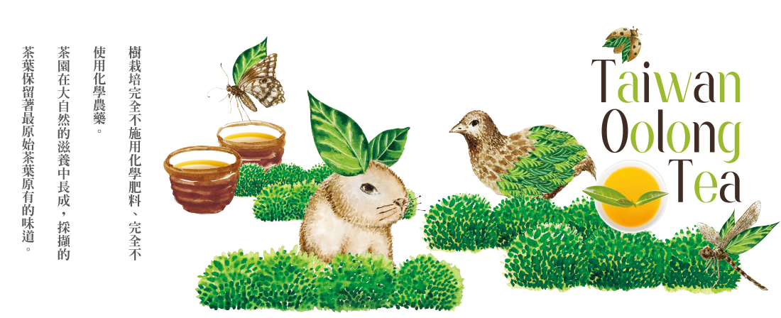 百香自然生態茶園 - 自然農法栽培，茶葉不使用化學農藥