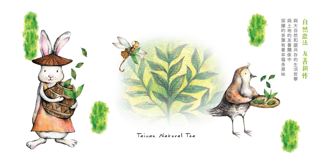 百香自然生態茶園 - 自然農法栽培，茶葉不使用化學農藥