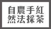 頂級清香烏龍