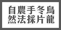 頂級清香烏龍