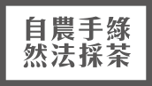 頂級清香烏龍