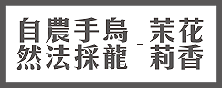 頂級清香烏龍
